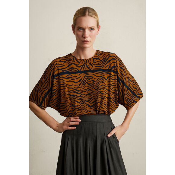 Rachel Comey Brown Blue Zebra Blouse Top Shirt Women's Size Small - Picture 1 of 9